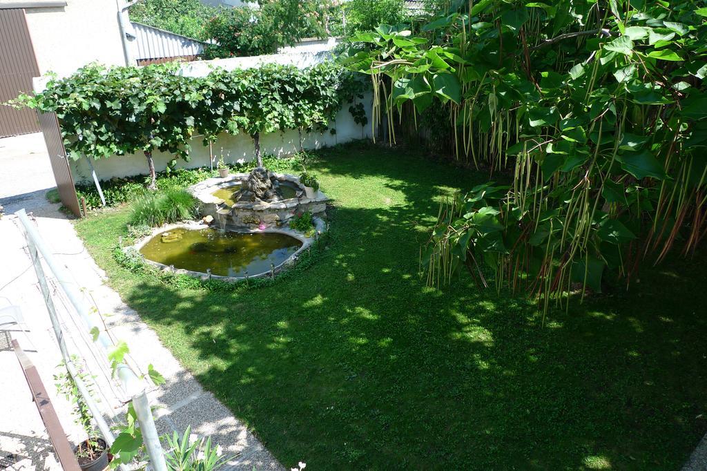 Gaestehaus Haider Illmitz Bagian luar foto